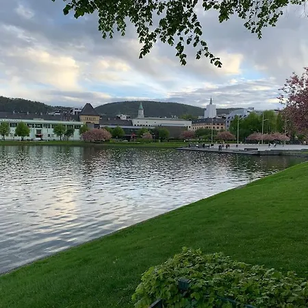 Moderne Og Fullt Utstyrt 3-rom Hageleilighet Sentrum Naer Lägenhet Bergen