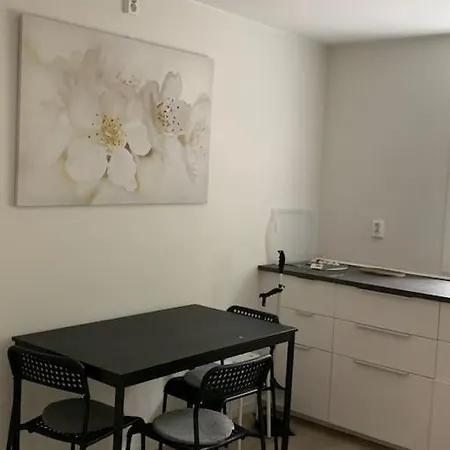 Moderne Og Fullt Utstyrt 3-rom Hageleilighet Sentrum Naer * ベルゲン