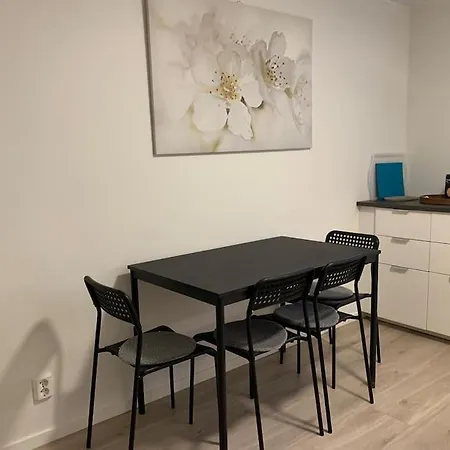 Moderne Og Fullt Utstyrt 3-rom Hageleilighet Sentrum Naer