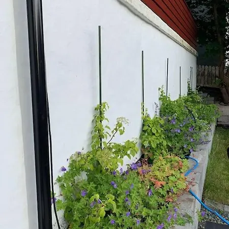 Moderne Og Fullt Utstyrt 3-rom Hageleilighet Sentrum Naer ベルゲン