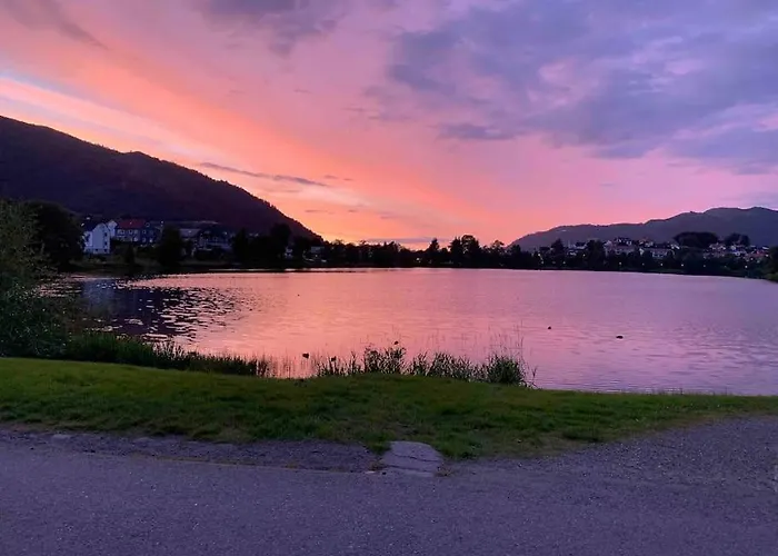 Moderne Og Fullt Utstyrt 3-rom Hageleilighet Sentrum Naer