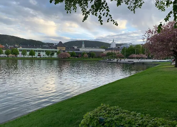Moderne Og Fullt Utstyrt 3-rom Hageleilighet Sentrum Naer Apartment Bergen