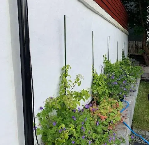 Moderne Og Fullt Utstyrt 3-rom Hageleilighet Sentrum Naer Bergen